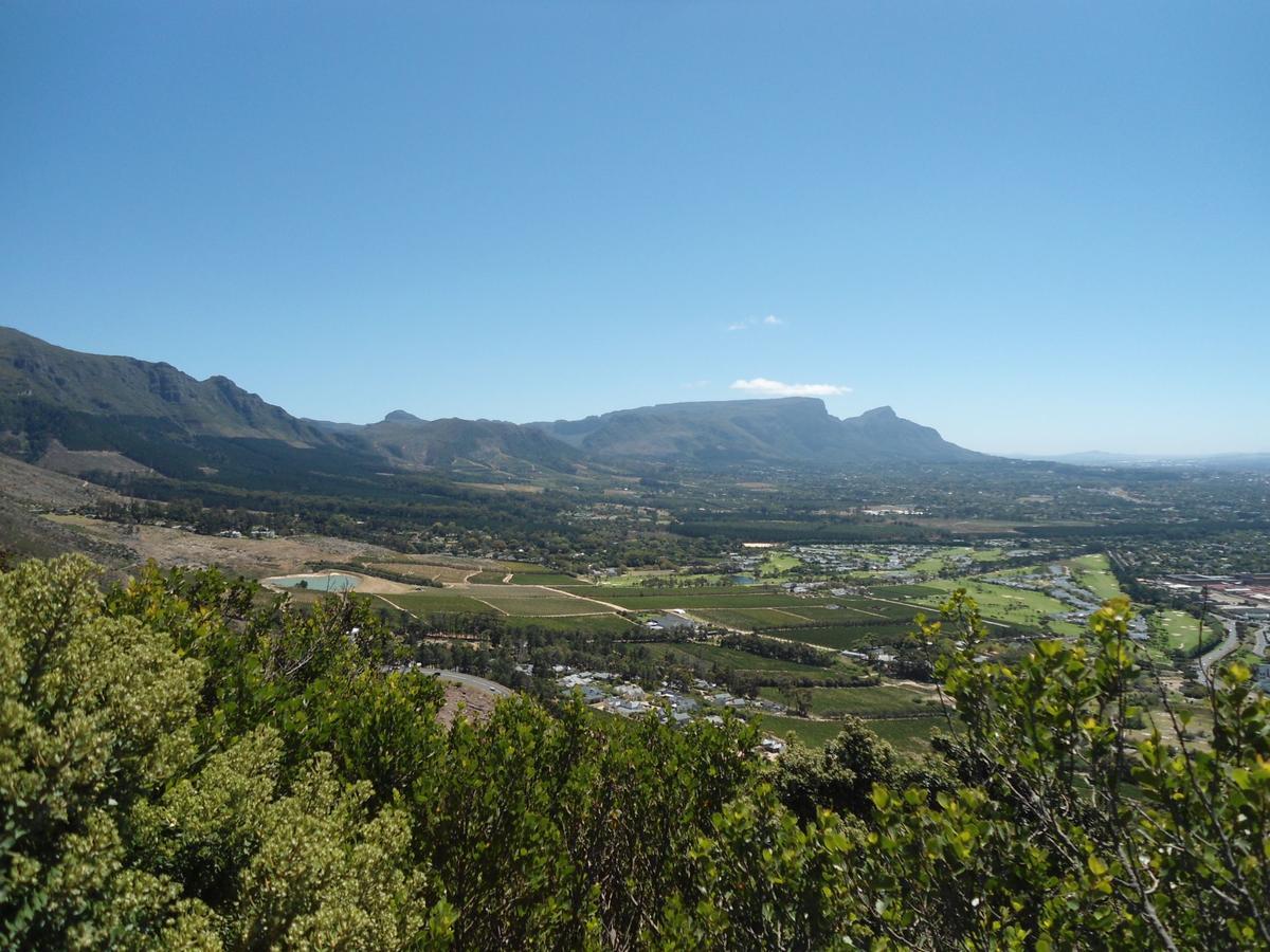 Constantia Cottages 外观 照片